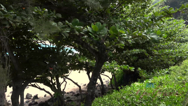 ATK Fans (Girlfriends): Vacanze virtuali a Kauai con Kristen Scott parte 2