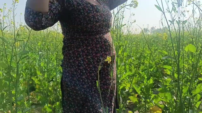 Savita5343: India del pueblo follada en el campo de mostaza al...