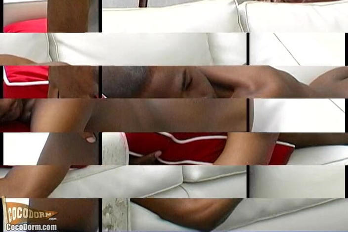 CocoDorm: College-sommer