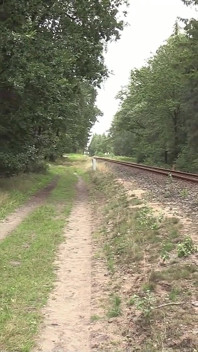 Kinky Blonde Nympho Fucked Right on the Railway Track