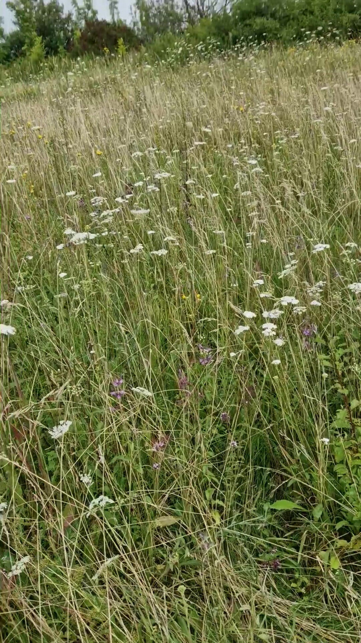love angels from hell: Takhle skutečná MILFka jezdí na péru