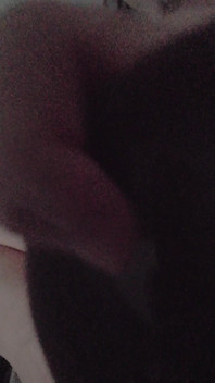 本物の素人セックス