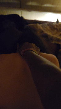 Marito E Moglie Fanno Sesso Romantico Comprendendosi L'altro Fantasia