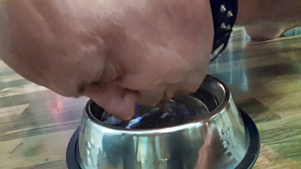 Master Drex: La sua devozione