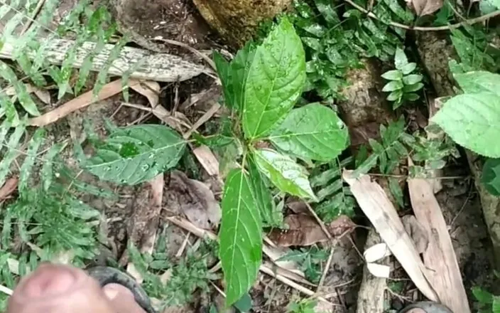Desimast7: Big Cock Pissing on Tree