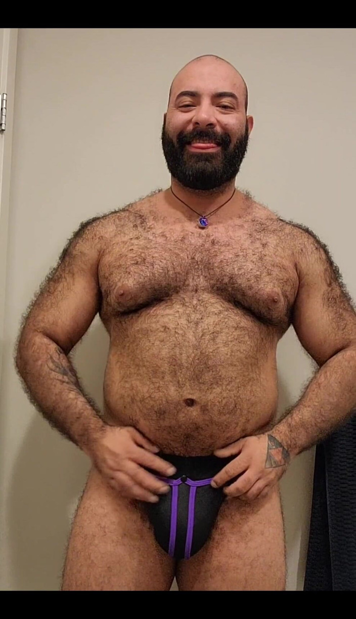 Lobo: Bear Is Here