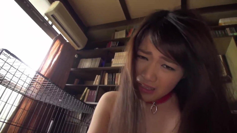 H-Eagle: My Beautiful Pet: Shiho Mukai - Part.3