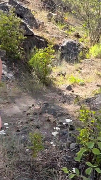 Muscle Mommy Wilderness Wedgie