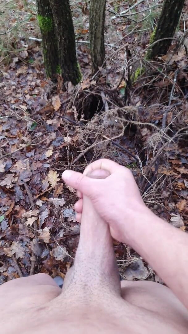 Timmyboy: Timmyboy aku pergi untuk lari di hutan dan aku jadi...