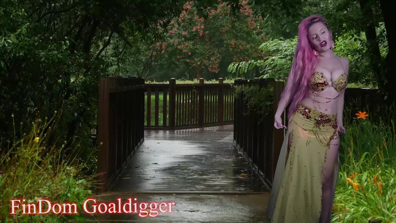 FinDom Goaldigger: Перетворення на дерево