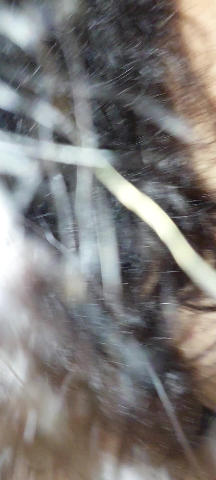 Renatinharj: Vanessinha war schwanger und sehr aufgeregt, also kam sie auf...