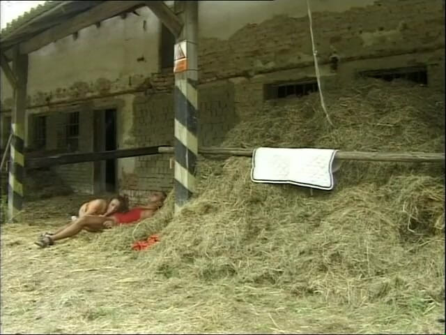 Fetish Desire: Rozrywka chorego zdrowego umysłu - DVD
