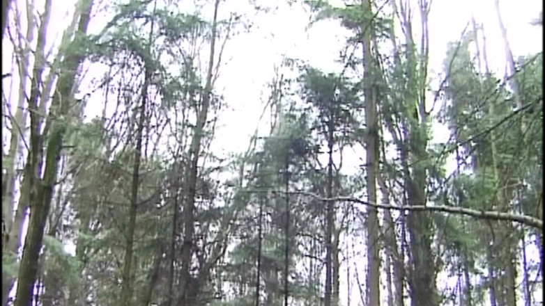 Enema Extreme And Top Girls: Lewatywa top loszka szarpanie wielki kutas podczas gdy dostaje lewatywę...