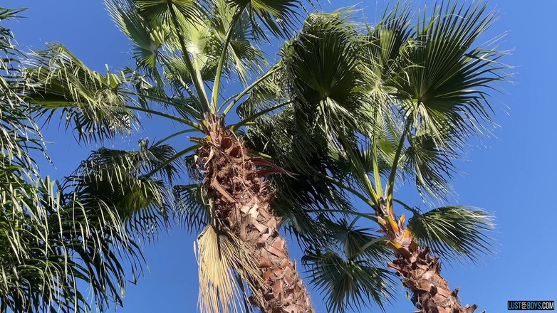 Lust for boys: Cock Crazed Boy Buggered Outdoors - Part 3