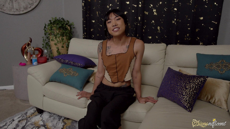 Transnificent: Ahoj Haru Haku!