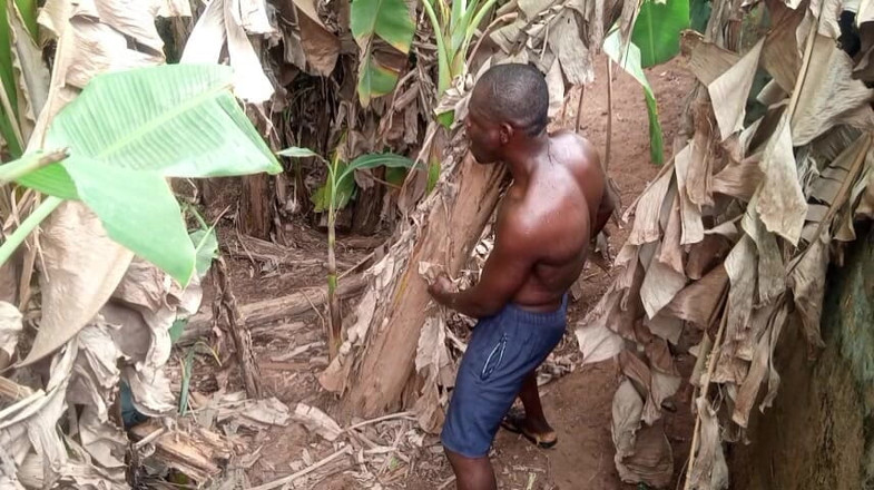 Moviesporn1: Sevgililer günü tasmalı bir plantain en yarak deliği