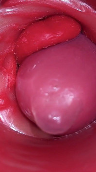 Uvnitř Camgirl Cervix POV Kamery Ve Vagíně S Velkým Čůrákem