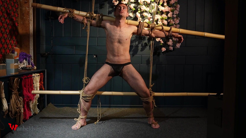 Wanheldvig: Frumosul Zeus legat cu frânghii de iută Shibari Eleganță în poziție...