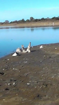 Latina amatur berkelip pepek dan pantat tebing sungai