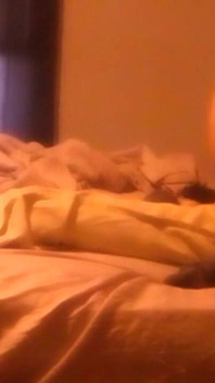 VID_20250301_165148.3gp