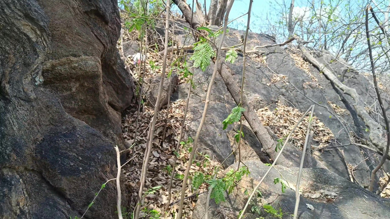 Palani69: Der lehrer genießt romantik im freien