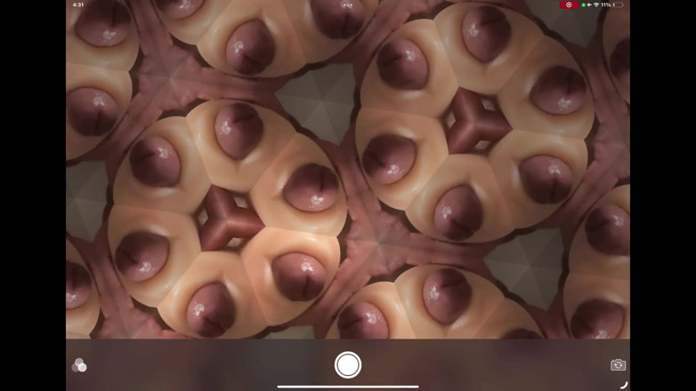 Bram Stroker: Kaleidocum ngược