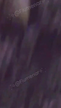Домашнє відео