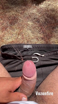 POV Secret Forest Alone
