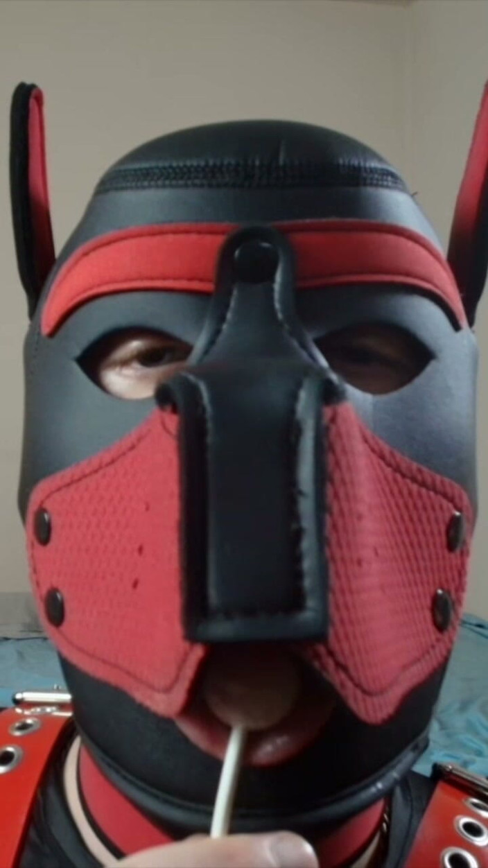 Alex GoodBoy: Filhote chupa seu pirulito de perto