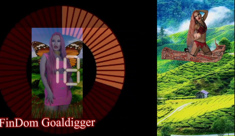 FinDom Goaldigger: Dumbed-down Bimo's mind Transformation