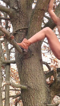 Piss in Tree