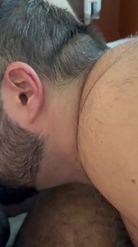 Two Bears Eating a Wolf