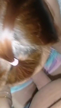 Fostul iubit nu poate suporta să-l bată pe Yaya din nou