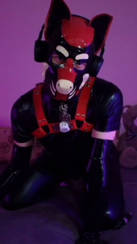 Goodboy's Tease Ignites Ravenous Puppy Play