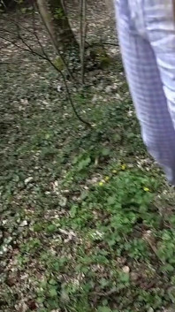 Pahalı araba, ucuz kadın