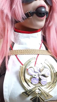The Shame of the Holy Maiden