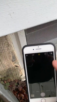 Beim masturbieren vom bf erwischt