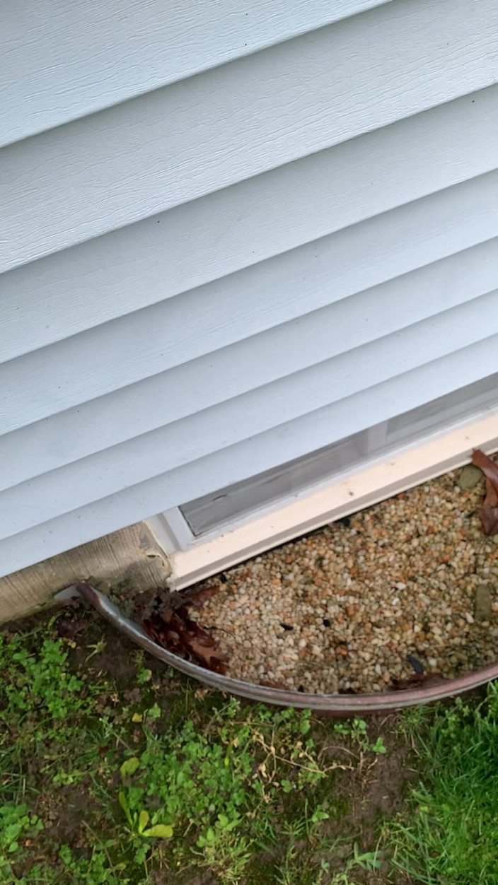 Jaycee starr: Atrapada masturbándose por novio