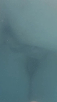 Riskanter geheimer sex im pool mit einer stiefschweine und abgelenktem stiefvater beim Grill