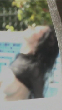 Jenya D
