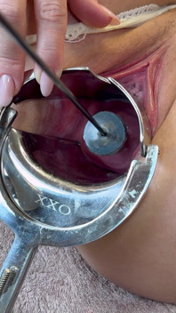 Stretching My Cervix with Small Stallion Dildo