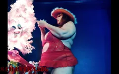 Bbw Sam38g een kerstboom versieren
