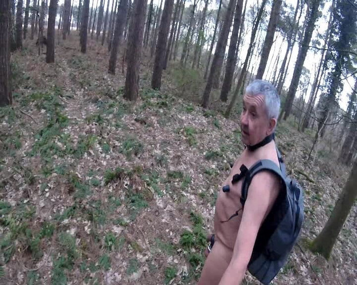 Andy: Zurück zum Auto