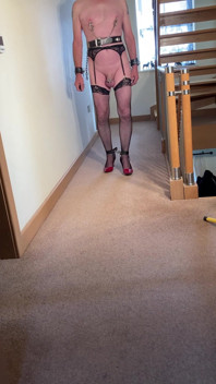 Ass Hooked Hobble Chained Nipple Clamped Walk