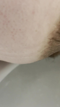 トイレやシャワーでおしっこをする