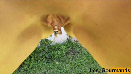 Les Gourmands: Compeelation of all my pee Vol II