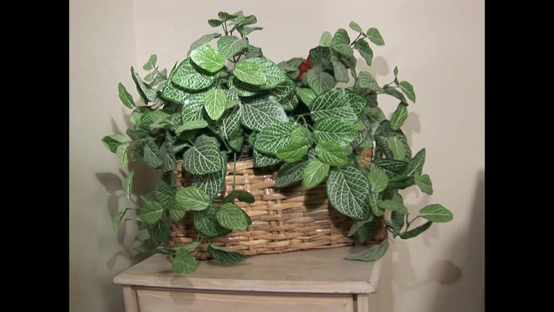 DEUTSCHLAND PORNO TV - our best full movie: In Afrika Ist Pornografie Xxl