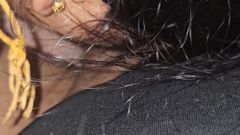 Swallow