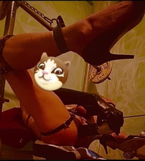 Analguy: Bộ lây lan hậu môn