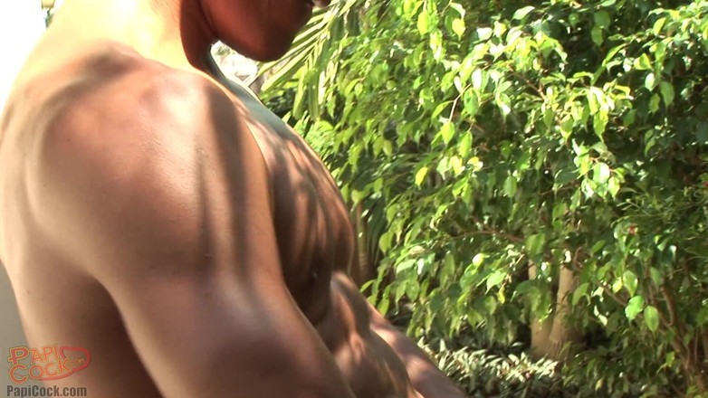 PapiCock: Roberto Nica